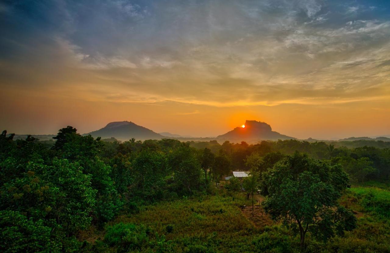 Choona Lodge 'View Of Sigiriya & Pidurangala With Sunrise' 외부 사진